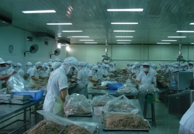 Procimex signs up for shares trading