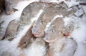 Russias frozen seafood imports climb 17.7%