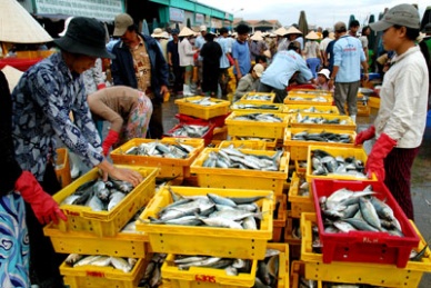 Fisheries production in July to increase by 10.2 percent