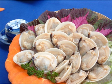 Satra opens its 45th store