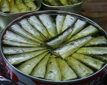 Spain Canned seafood exports generate EUR 692 million