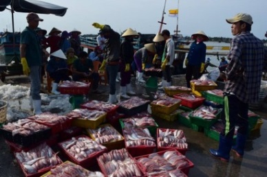 PRESS RELEASE Vietnam marine products for exports keep stable quality
