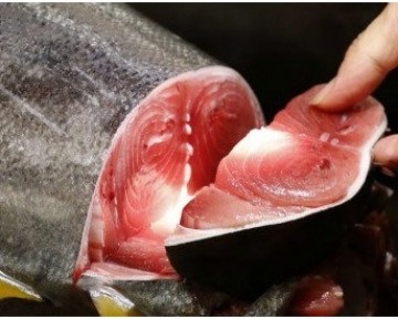 Spain increased tuna imports from Vietnam