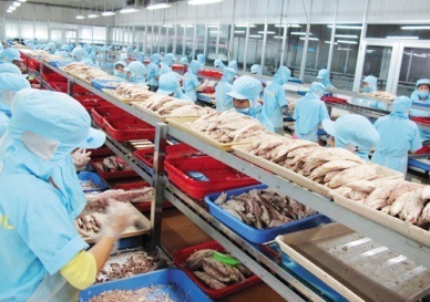 EU reduced import of canned tuna from Vietnam 