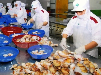 Positive growth for Vietnam bivalve mollusk sales to US 