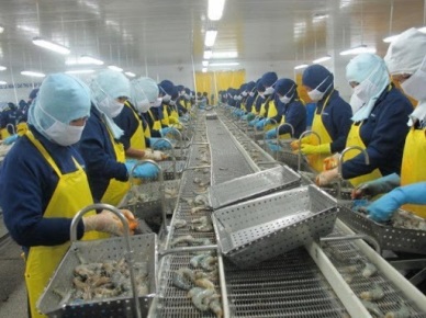 Covid-19 New opportunities and challenges for Vietnam seafood industry