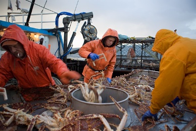 US seafood industry value to hit USD 17.1b