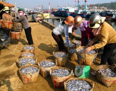 Binh Thuan approves seafood cluster