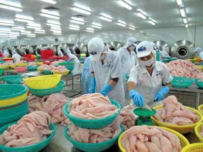 Seafood exports in the quarter II and III will grow slowly 
