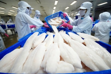 Vietnam pangasius exports to Brazil to rebound by the end of the year