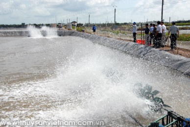 Ben Tre VND 54.2 billion invested in aquaculture infrastructure