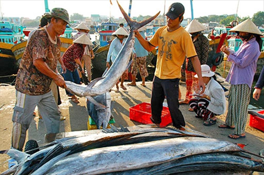 Vietnam to implement electronic traceability in a fish supply chain
