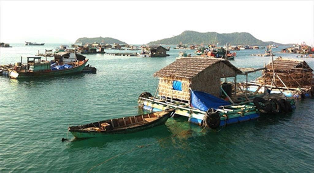  Kien Giang aims for 24 growth in marine aquaculture