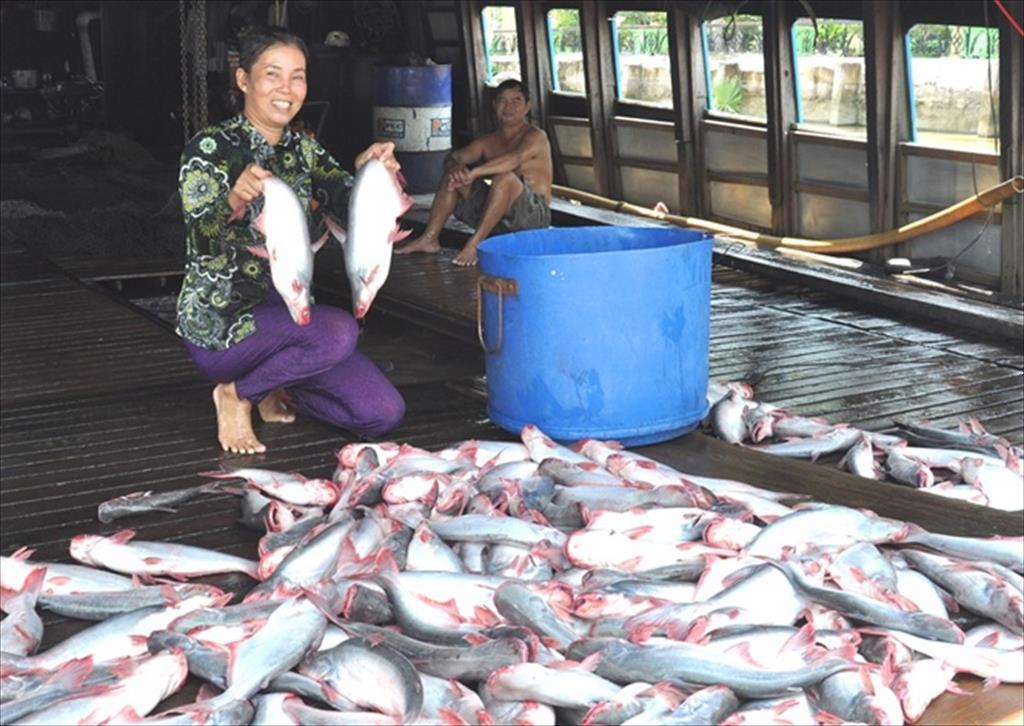 Cambodia lifts ban on pangasius imports from Viet Nam