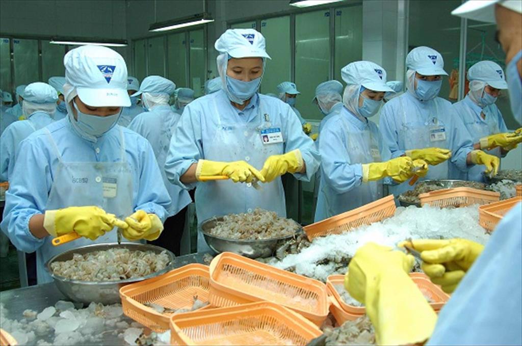 Australia and Canada 2 potential markets in the CPTPP for Vietnam seafood 