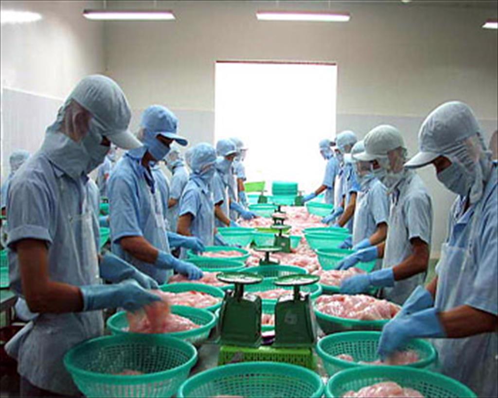 Bac Lieu province Flourishing seafood exports to markets