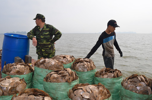 Binh Thuan province plans to develop new products and increase seafood exports