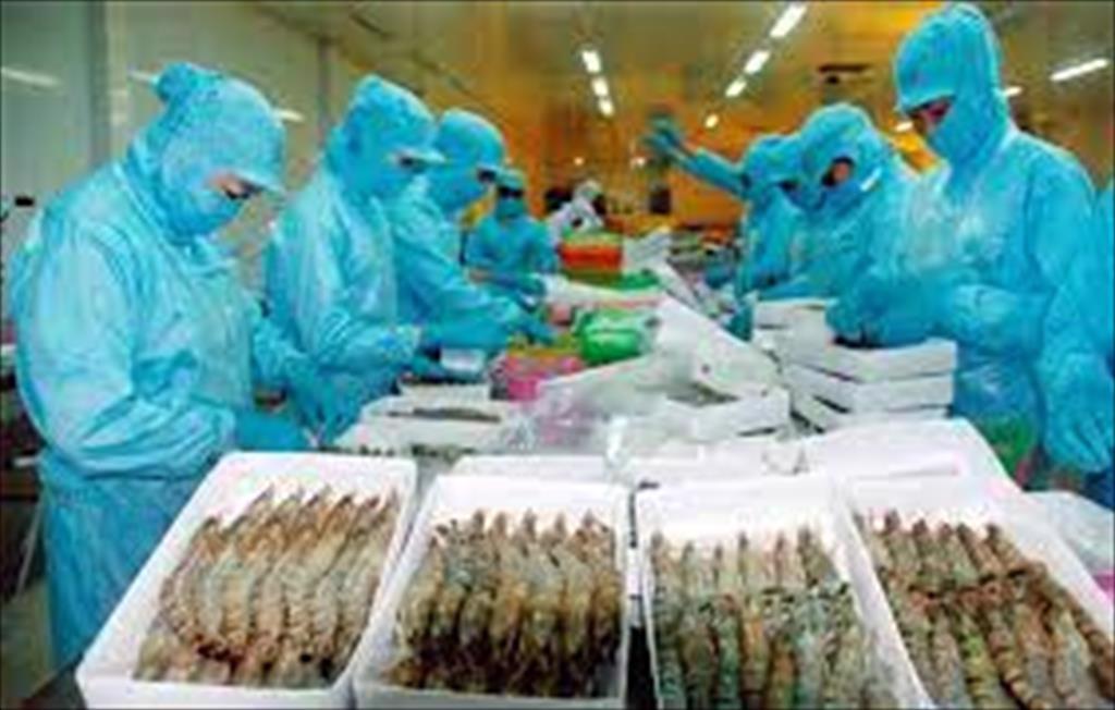 During Covid Vietnam seafood businesses adapt and break through