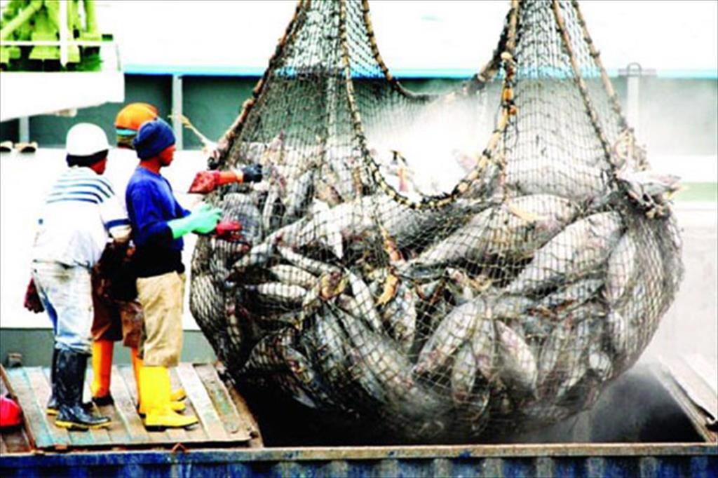 Visible improvement in compliance with antiIUU fishing regulations in Vietnam