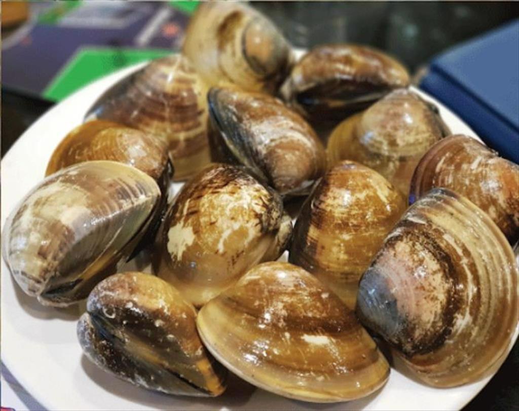 Vietnams clam exports to the EU in the first 8 months of 2021 increased by 33