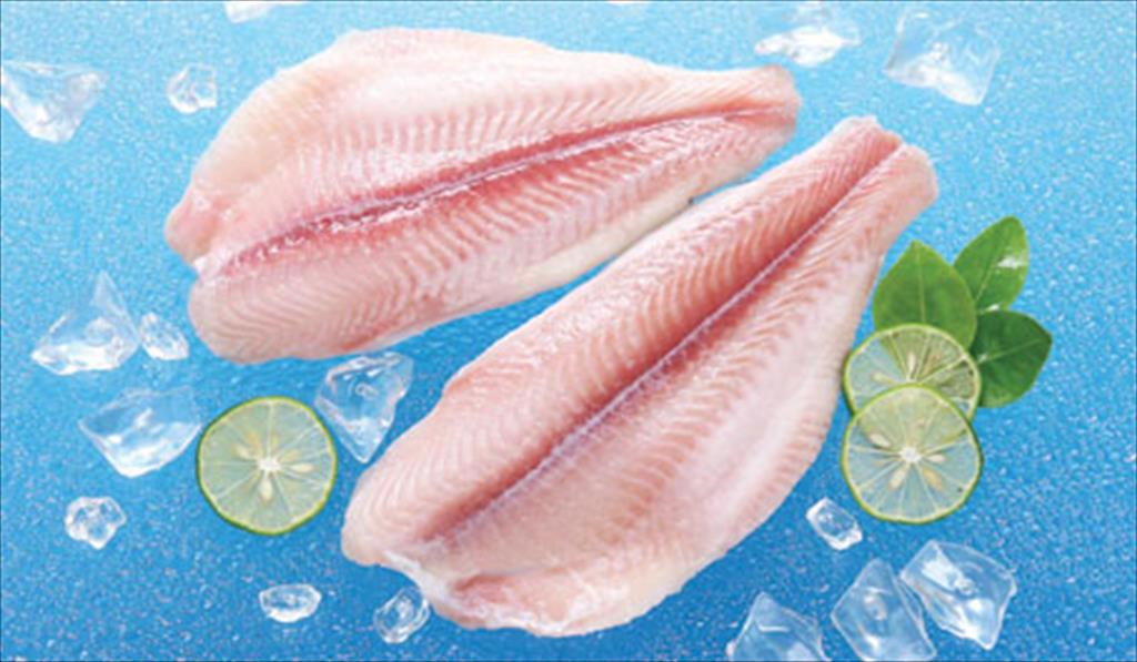 Pangasius exports to Brazil increased by 15 times