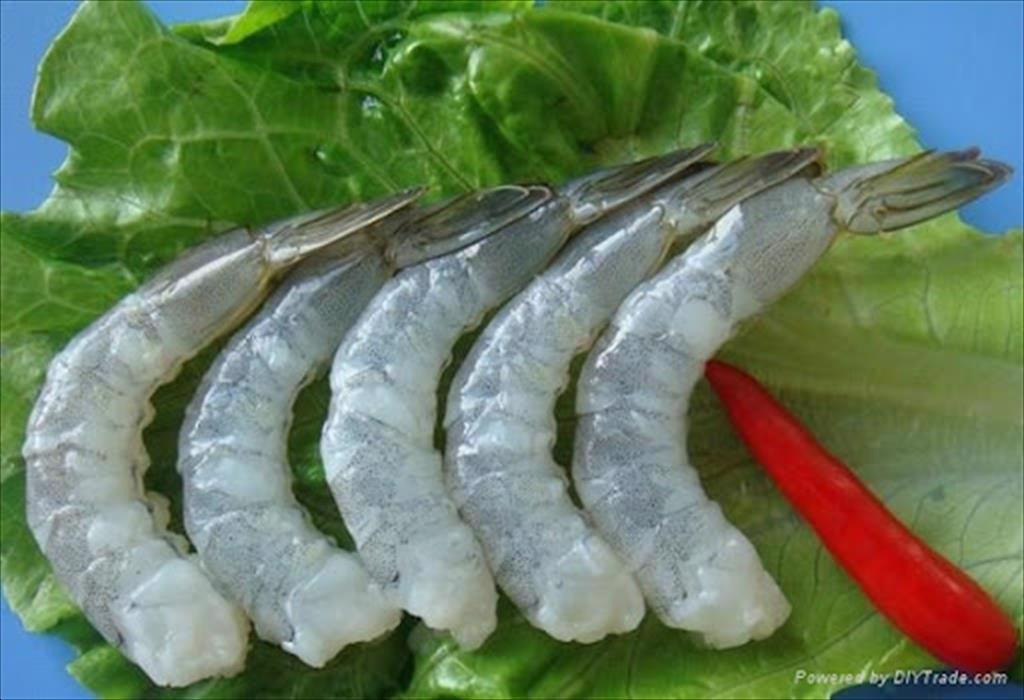 Seafood exports to China are forecast to reach 1 billion USD in 2021