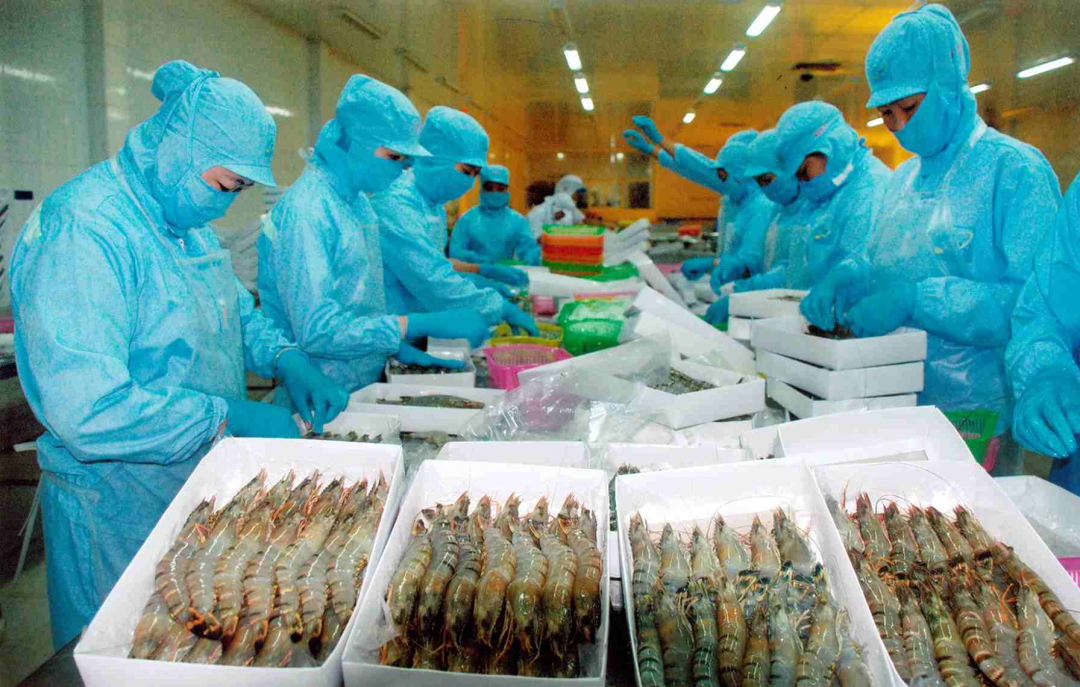 Vietnams seafood exports hit 8 billion USD